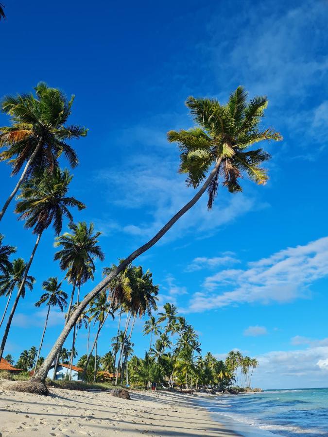 Flat Praia Dos Carneiros Tamandaré Exteriér fotografie